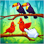 Bird Branch Sorting