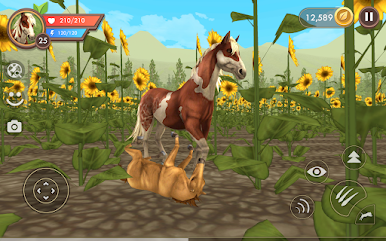 https://cdn-icon.bluestacks.com/BXGrFXgya1qh45BSI_g8Hxvs2NDqnerohjgAcboCt1XA-91XUpX6w7d7qnt5kpYg4s-_Ssr_Y1_mhbjD1VRgCQ