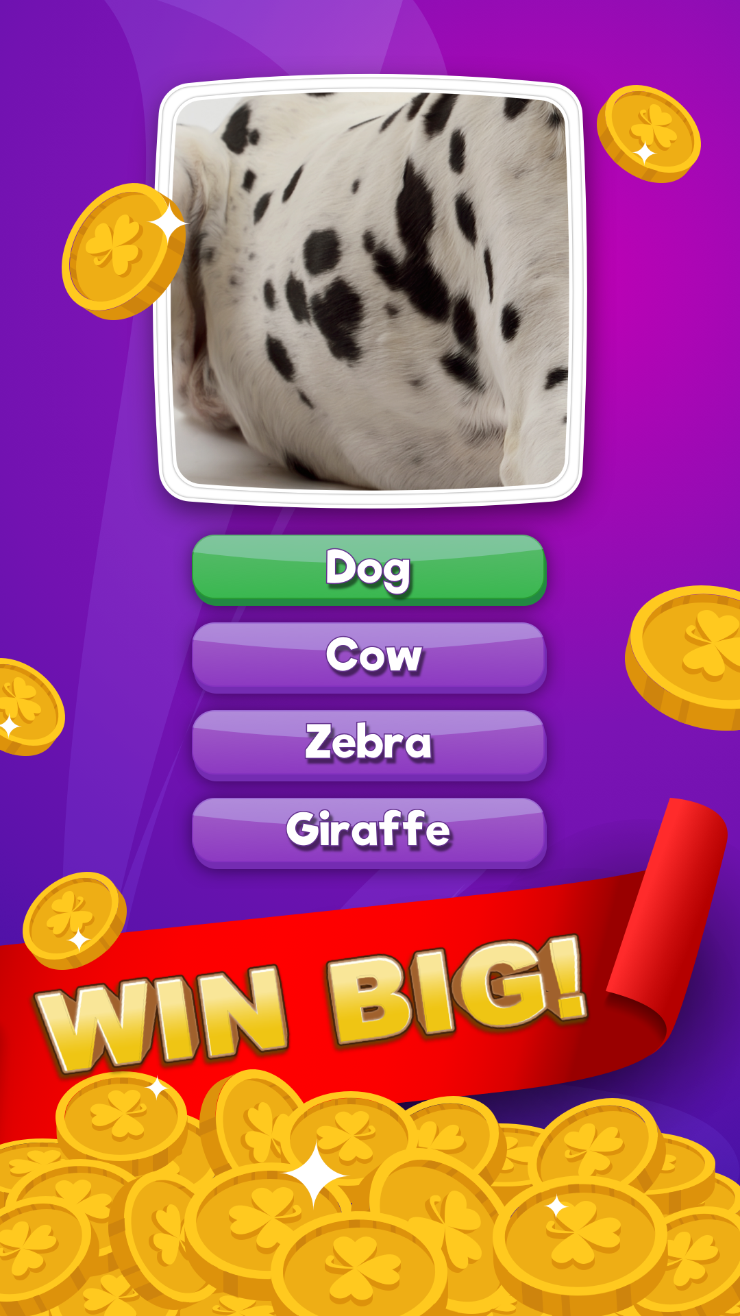 Play What is it? Pics Trivia Quiz Online
