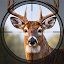 Apex Sniper: Animal Hunt