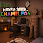 Hide & Seek: Chameleon