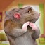 Rat Simulator Mouse Games 2k22