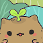 My CatPots