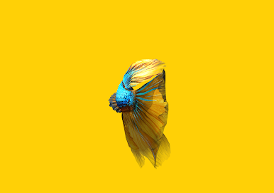 https://cdn-icon.bluestacks.com/DL0CxzYc4ghiRvWYeDTvmUVCO11mQwgR2G-Ntm_7I6Z2aCgCFrdHV2c7nYlt2B-p-Eo7nMg_J6xXOzIa-og6ubQ