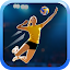 Fine Volleyball
