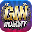 Gin Rummy