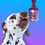 PetStar