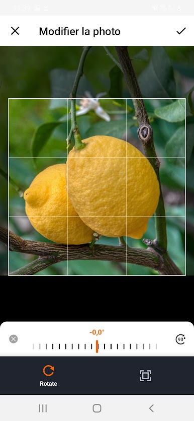 https://cdn-icon.bluestacks.com/E-jbxS10_r7H-eRIs1sDk1AWzFYhrqAP_sRRsGm7McYf-ZM6Pch0oNssfcRIUKGoyv7nJGv2jK44pI0Y10OP