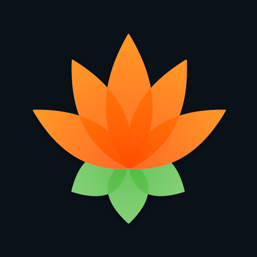Lotus Chess – Opening Trainer
