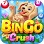 Bingo Crush-Lively Bingo Party