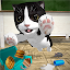 Cat Simulator - and friends 🐾