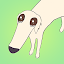 Long Dog - Borzoi Dog