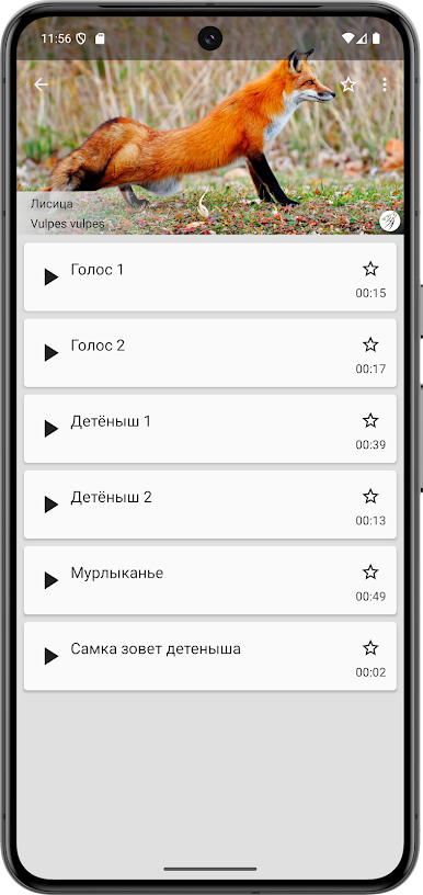 https://cdn-icon.bluestacks.com/ErmnNo3-qE858KNq9pdIibzrtPR-c1hAlgO9mNC-6LBdSHmpjS4Wkkn3aYn_NeoiHJkdg1rlrCy9pgiMWYIvYQ