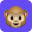 Monkey Video Chat