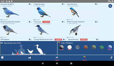 https://cdn-icon.bluestacks.com/F6-B2opDpwHnUCgeSKes696BjEPZBgO9Z6P9l-e1UM1k5mvPWlr78IQGzA_DtRRiNuTrmJ3-ovKUUl7Ga8NzZA