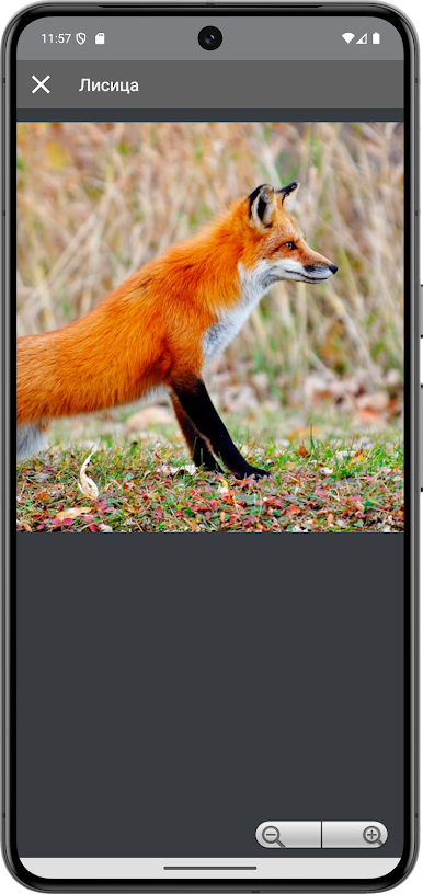 https://cdn-icon.bluestacks.com/FEiXIONXFnZyJCTo8AvTZxyodJya49S_TkOwftNGZUqHe6s8pBObcOaCVbZKPD8bV5GZZ7zjJ0W3gZnQZyLOKTk