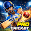 Pro Cricket 3D Bat Ball League