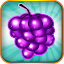 Fruit Blitz