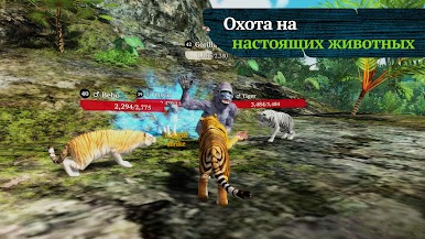 https://cdn-icon.bluestacks.com/GSfhXRGjwyH1Li779_UnfHyVw6tg3FfNxJsrboQ0iQc3ZlG-9fSCB7UY4muEJgZF0T4PGFjFeNIkzAkhIYDC