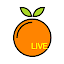 Live O Video Chat