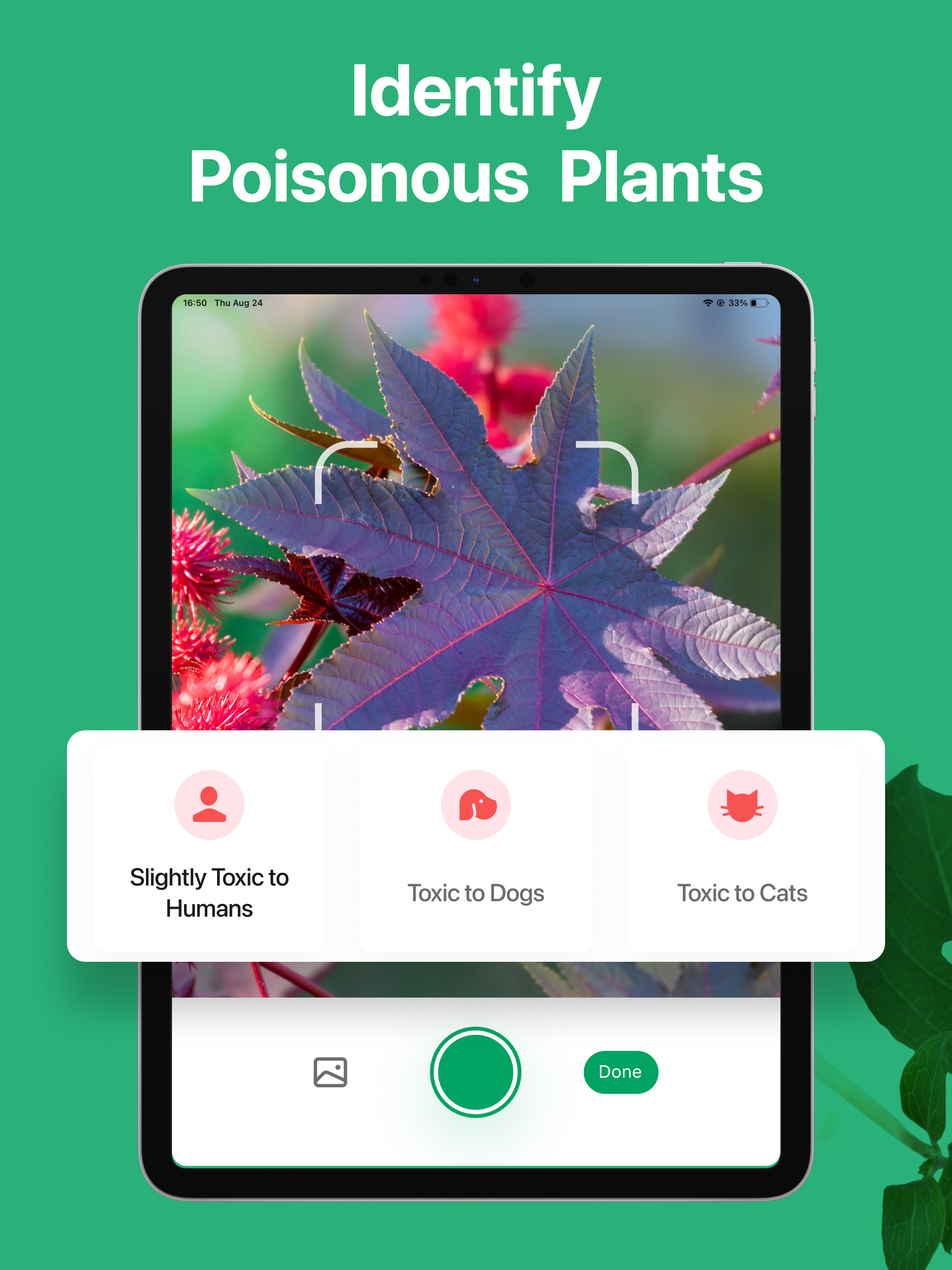 Download and run PictureThis - Plant Identifier on PC & Mac (Emulator)