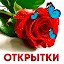 Открытки на все случаи жизни