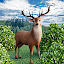 Hunting Simulator 4x4