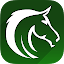 Free Horse Racing Picks & Tips