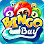 Bingo Bay - Free Game