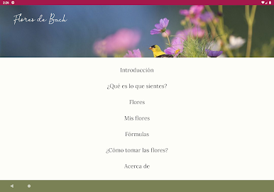 https://cdn-icon.bluestacks.com/IM-SwddNoeIWor-st8-U6vy-SZQrOxMU6rhqih6-NFWTBnwTDU0Ivht4A1aU6hJSsrFcn9A7jB32M2-EkVnrfQ