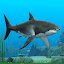 Shark Fish Simulator