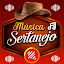 Musica Sertaneja 2024