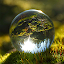True psychic reading - Natural vision