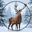 Animal Hunting Simulator 3D