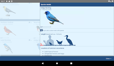 https://cdn-icon.bluestacks.com/JbOrpWxlbgEgW-Lpx86H-wytF4CZ_hdRxDUWr9QFOFa8rgVw_Us5vrwsf-dlat9i0s92XU6d8-c1jXbGe0e6FyY