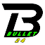 Bullet 24