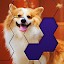 Block Hexa Jigsaw Puzzle