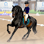 Pocket Horse: Racing Champions