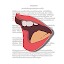 Script Rehearser