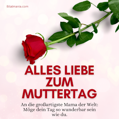 https://cdn-icon.bluestacks.com/Kg3Q2uB-f5PcuKi8mveYerwbnV_1_cAVXLCGxhxldUqpmudGH9iqYQEx2cSK3xvI_0HeZvsDoFSzvZzS__Xvlg
