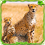 Furious Cheetah Family Simulator
