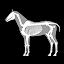 3D Horse Anatomy Software