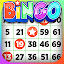 Bingo - Offline Board Game