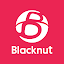 Blacknut Cloud Gaming (+400 games in one App)