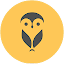 Meeting Owl