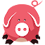 Pig1000