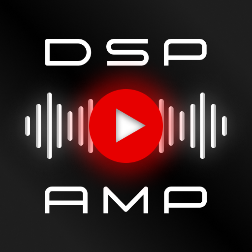 STETSOM DSPLAYER AMPLIFIER