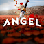 Angel: TV & Movies