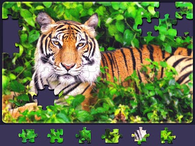 https://cdn-icon.bluestacks.com/NPAbpTqFuaoPcSxxBWlS3MXiTb30lOUFNJ3USIbHMieIgKNO025x3DmKXEOxS0A9dJmGofXXTABVGRx3idvq