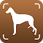 Dog Bread Identifier: Dog Scanner by photo, camera
